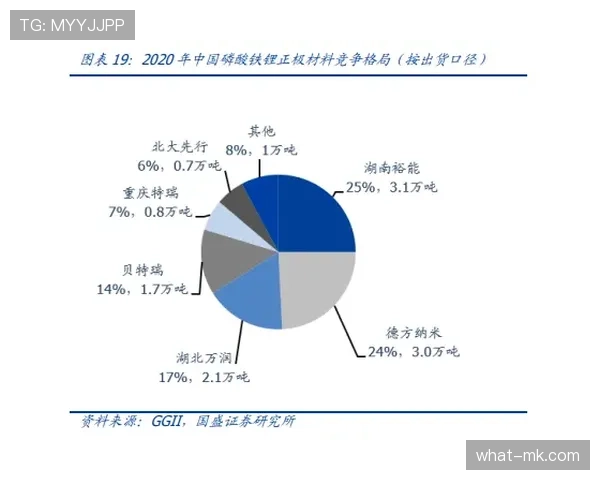 加维比赛风格中红黄牌频发的根源与机制解析